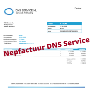 factuur van DNS Service NL